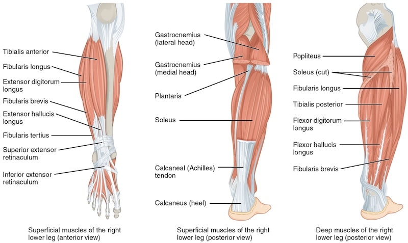 Dry Needling Treatment